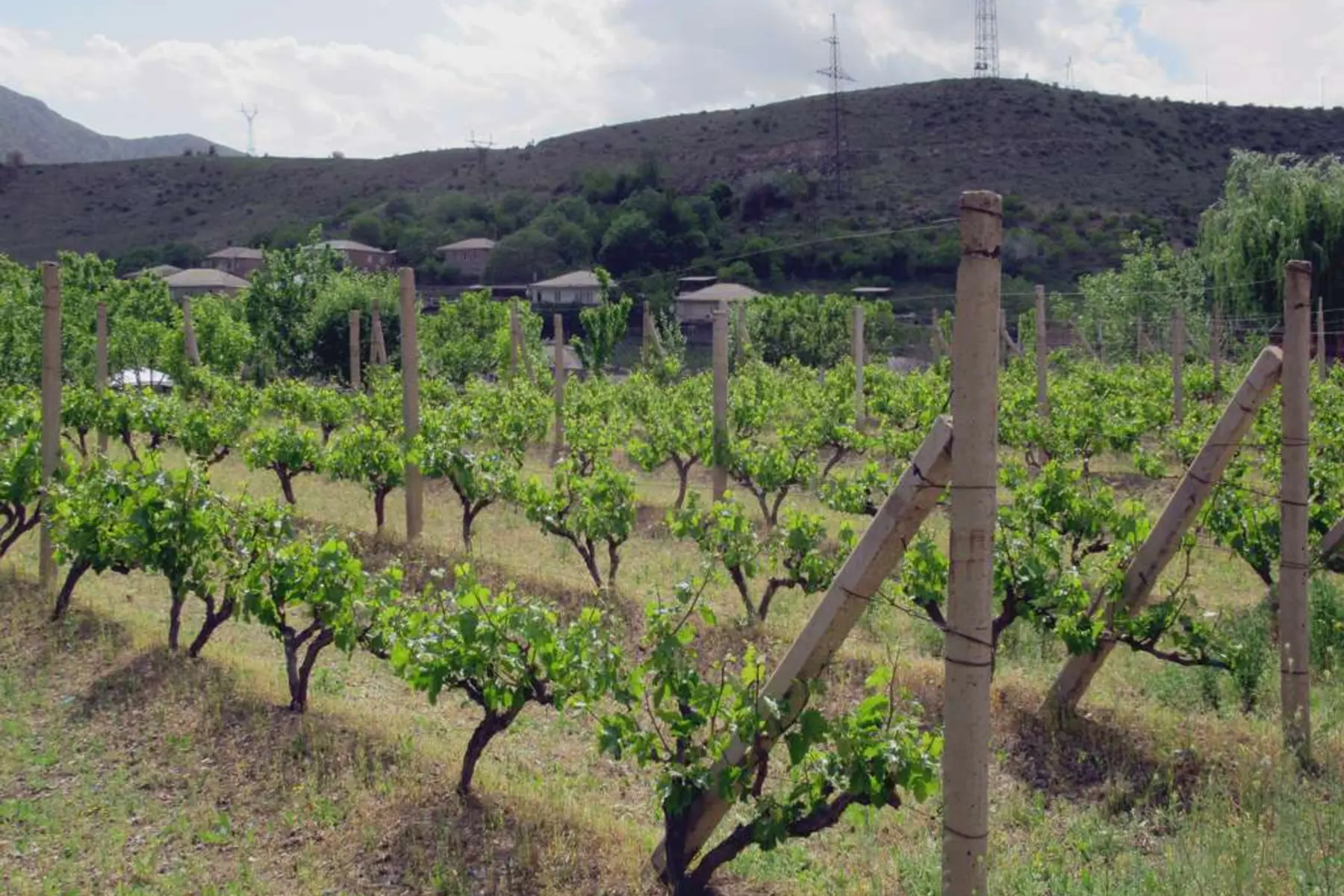 Khor Virap, Areni-1 Mağarası, Şarap Tadımı ve Noravank